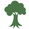 green tree